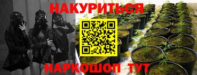 гидра Изобильный