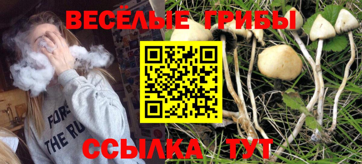 Краснотурьинск  Галлюциногенные грибы MAGIC MUSHROOMS  Вход с VPN  Галлюциногенные грибы Psilocybine cubensis 